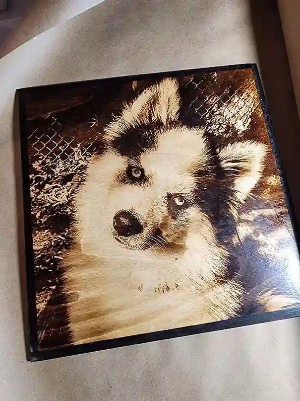 12x12 Bundle of 3 Creations - 