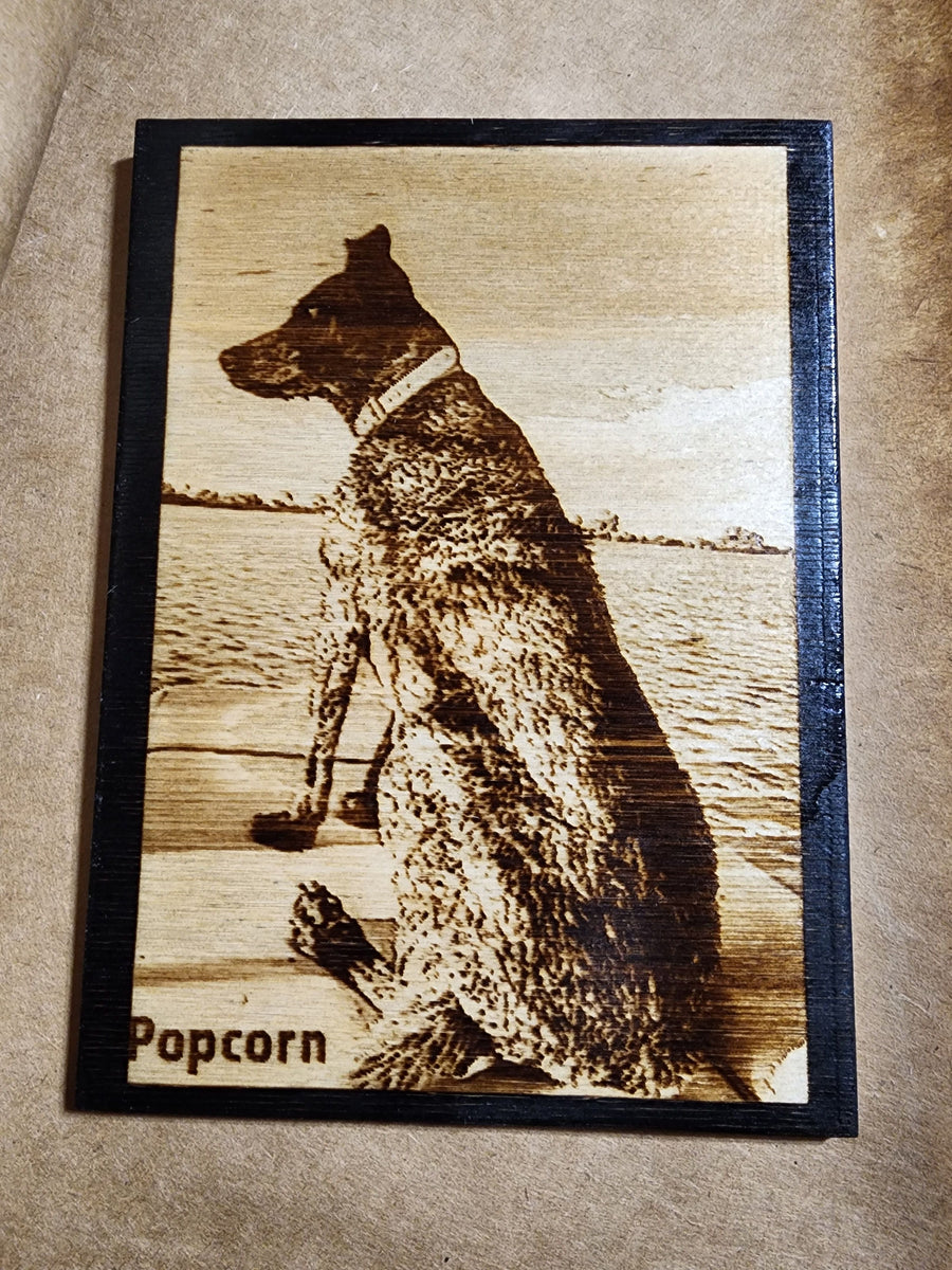 5x7's Bundle of 3 Creations - 