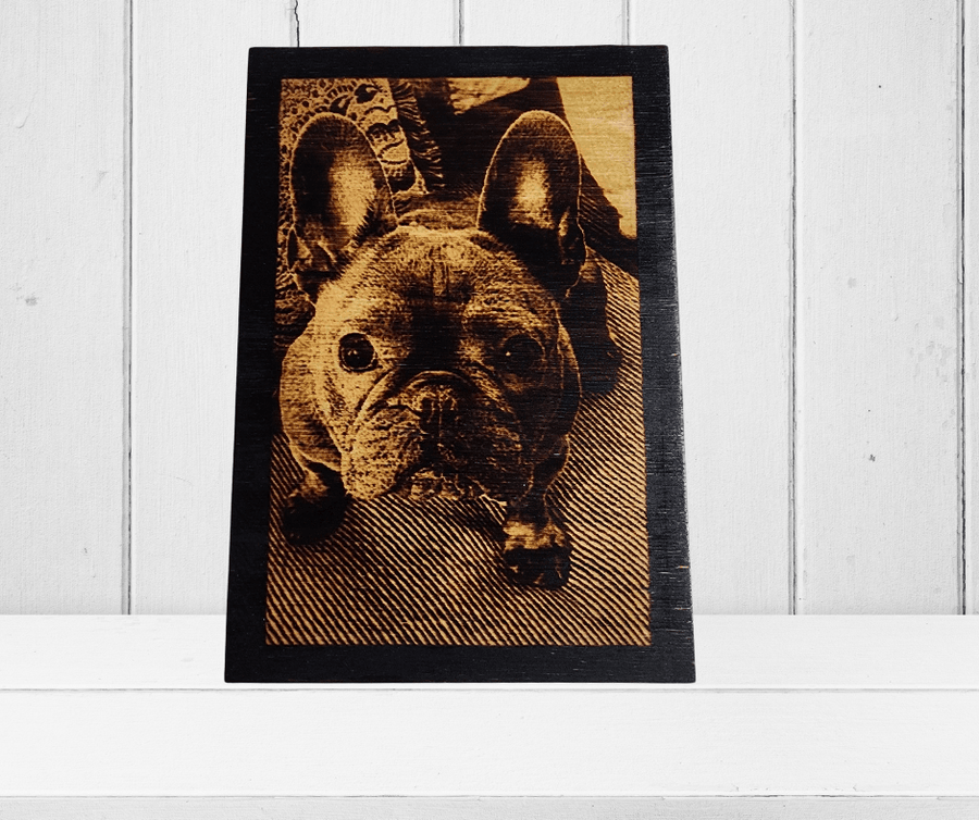 5x7's Bundle of 3 Creations - 