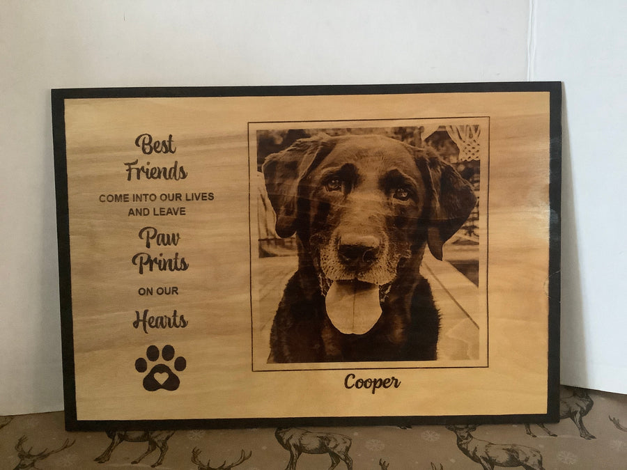 Pet Memorial 