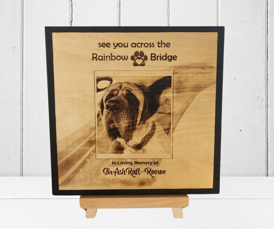 Rainbow Bridge Photo for Pet Loss - 
