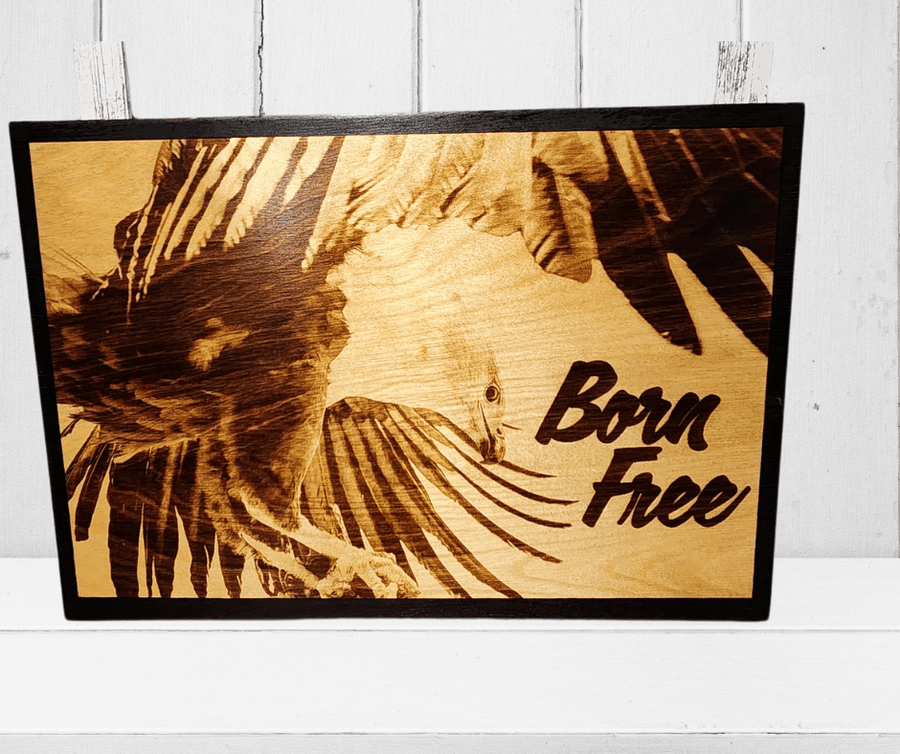 Wood Burnt Photo* Size 11x16* - 