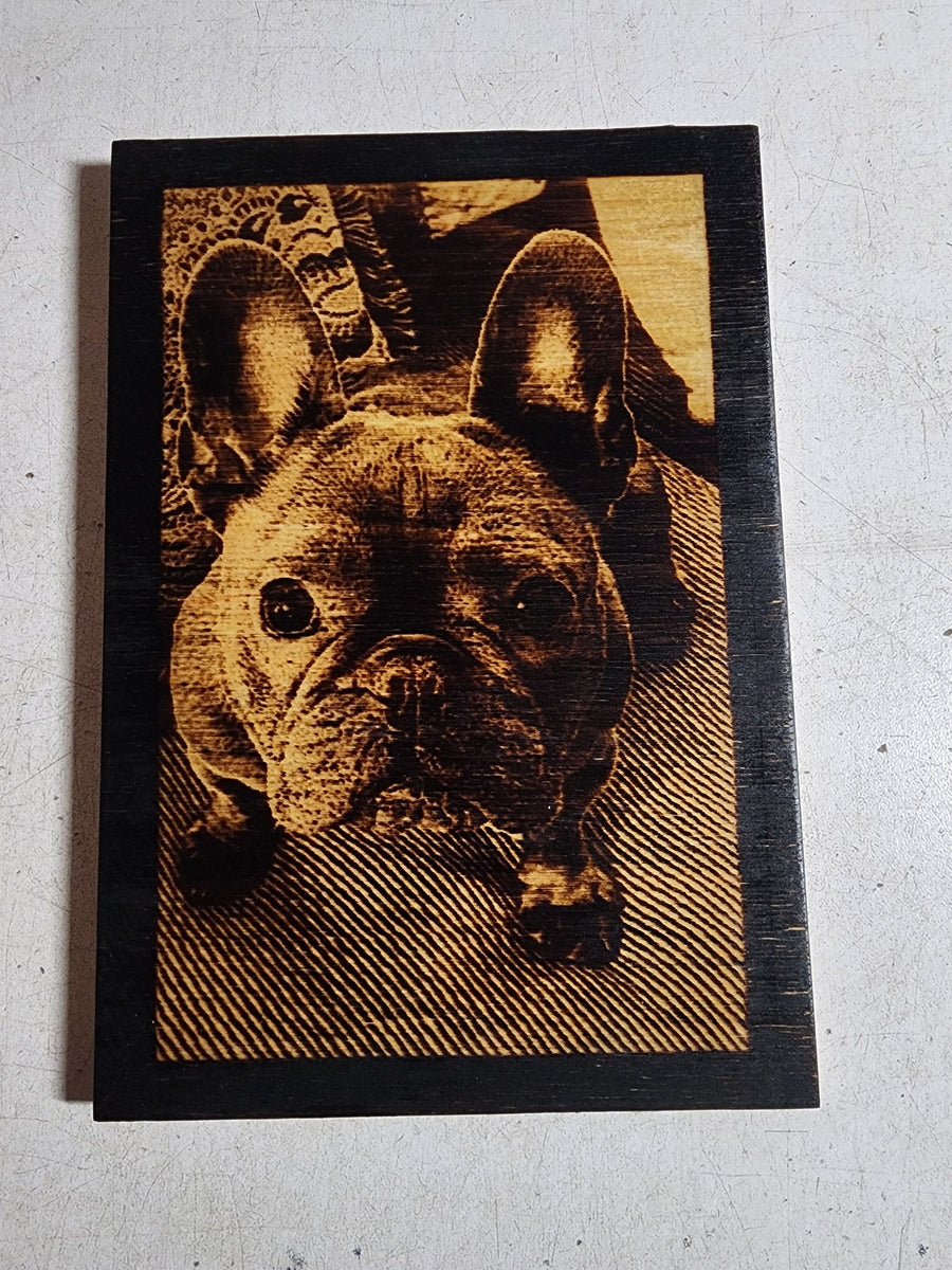 Wood Burnt Photo *Size 9x12* - 
