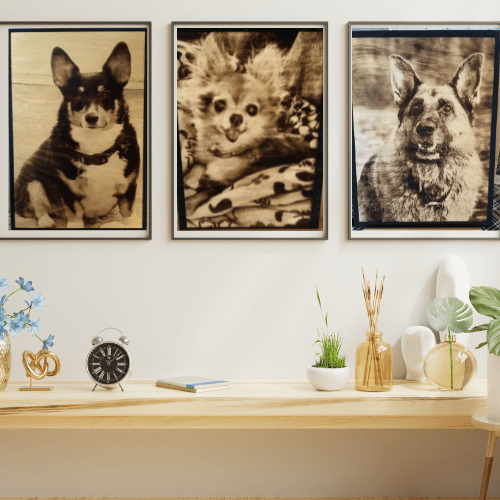 5x7's Bundle of 3 Creations - 