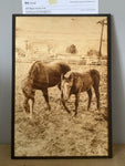 Wood Burnt Photo *Size 5x7*