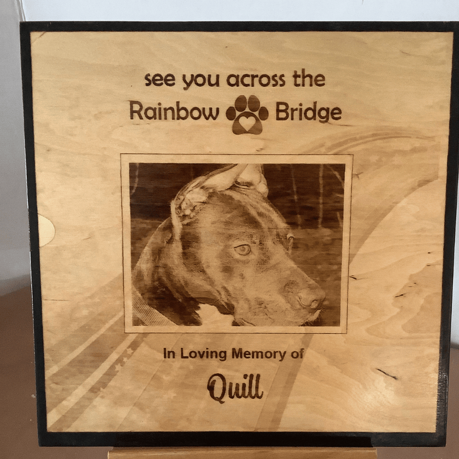 Rainbow Bridge Photo for Pet Loss - 