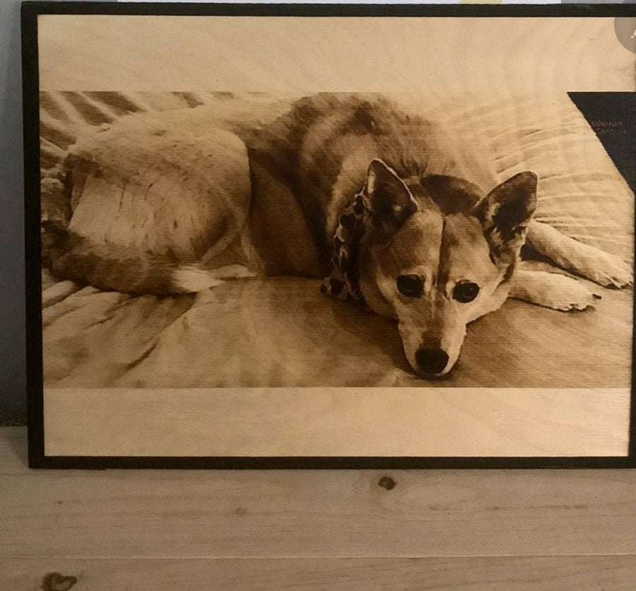 Wood Burnt Photo* Size 11x16* - 