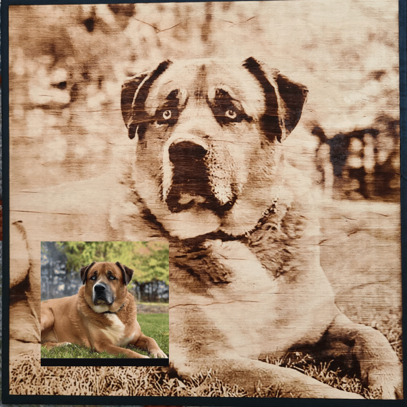 Wood Burnt Photo *Size 12x12* - 