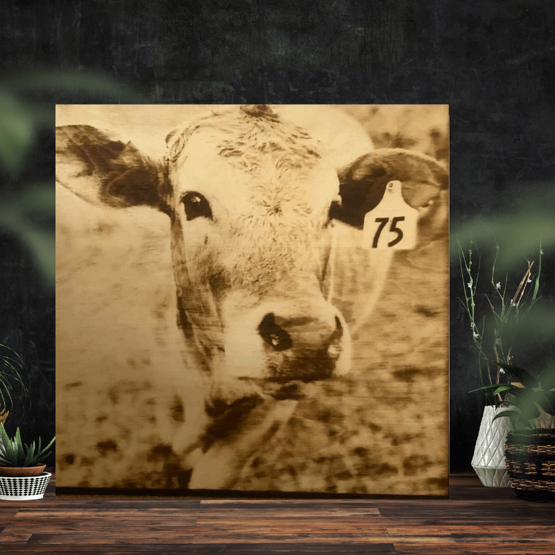 Wood Burnt Photo *Size 12x12* - 