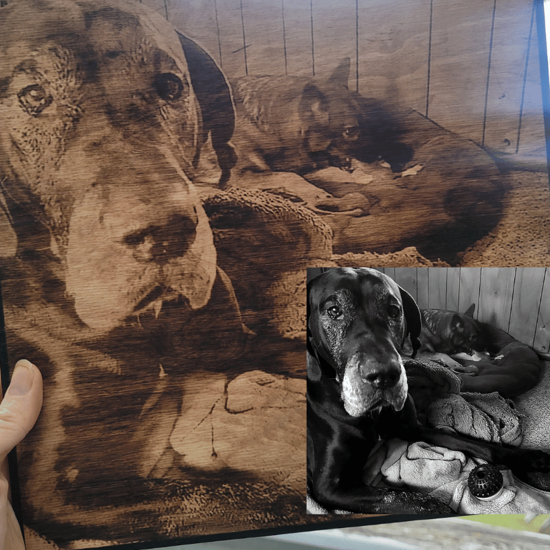 Wood Burnt Photo *Size 16x16* - 